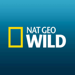Nat Geo Wild USA TV
